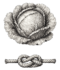 cabbage & knot
